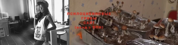 мескалин Балахна