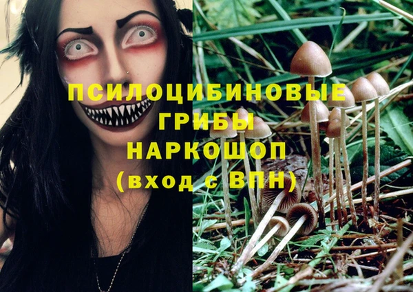бутик Арсеньев